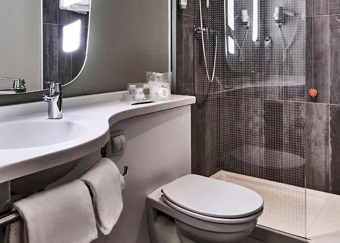 Отель Ibis Centro 3*