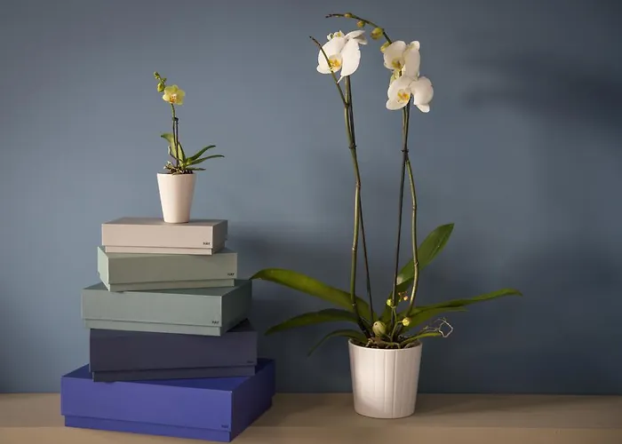 Aurum Bicocca 4* Mediolan