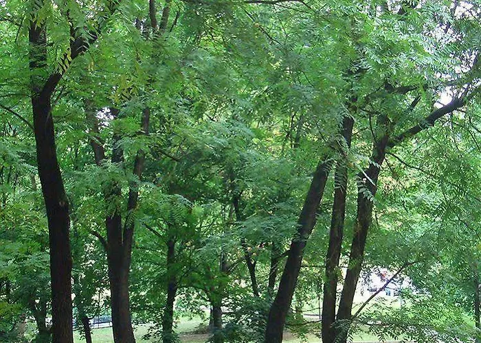 Parco Lambro Frühstückspension Mailand