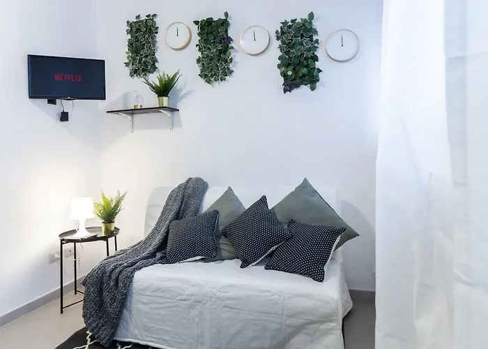 Paruta 65 * Milánó