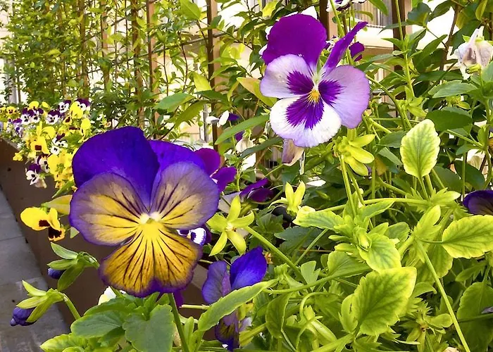 米兰城堡酒店 酒店 米兰