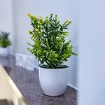 Apartament Santa Marta Mediolan