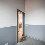 The Orange Attic - Navigli *