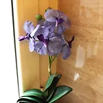 Easy Flat Appartement