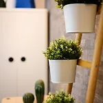 Apartment Sebino 15 - Monolocale Cool