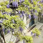 Inner Garden * Mailand