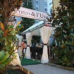 호텔 Mihotel 4*
