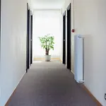 Dei Fiori
