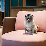Hotel Canada 3*