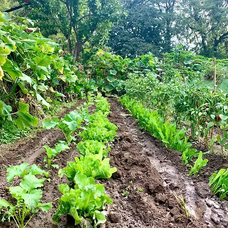 Cascina Bellaria ميلان