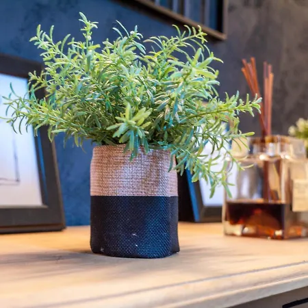 Pensionat Bed Linate 4*