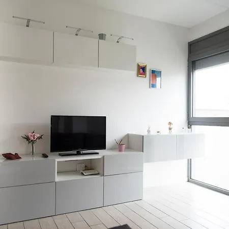 Big Terrace Near Linate Apartment
