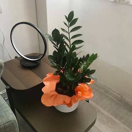 Studio 18 Apartment *