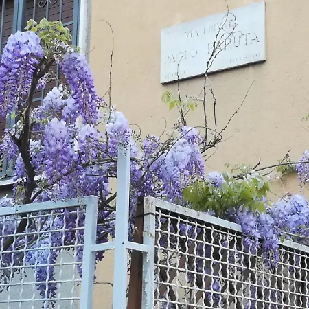 Appartement Amami
