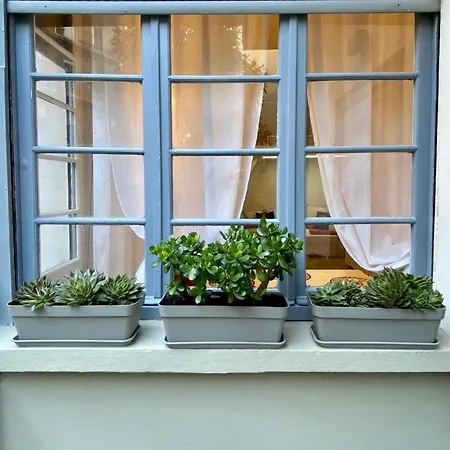 Flat66 Apartment