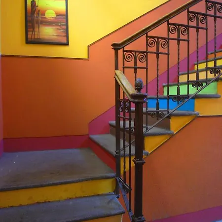 California 호스텔