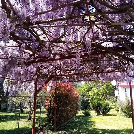 Bed & Breakfast La Casa Gialla A MONTIGNOSO 3*