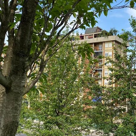 Bicocca Rino