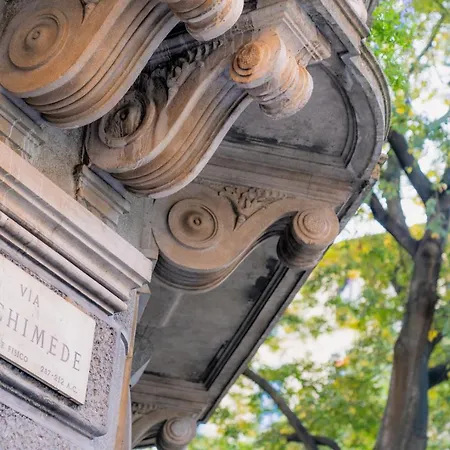 Experience - Palms *