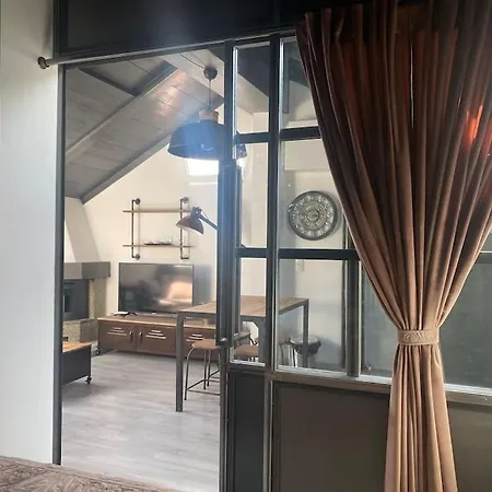 Apartment Industrial Cozy Loft