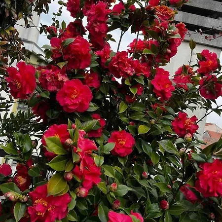 Giresio 41 - Your Penthouse With Rooftop Garden In Navigli - Wifi Apartman