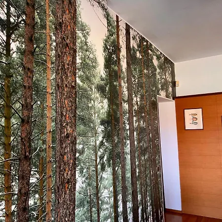 La Terrazza Su Appartement *