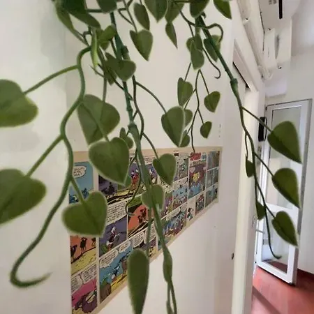 Apartment Casa - Near The Center And Public Transport *