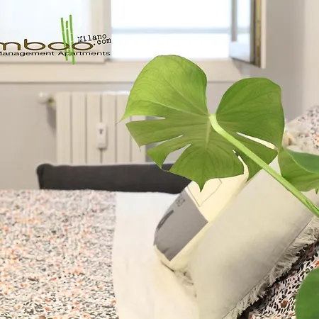 Bamboo Copernico * Milan