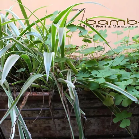 شقة Bamboo Brera ميلان