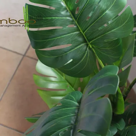 Bamboo Pagani * Milano