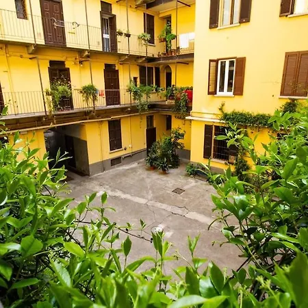 Palm Apartamento *