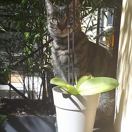 Loft Certosa District Con Parcheggio Privato * Милан