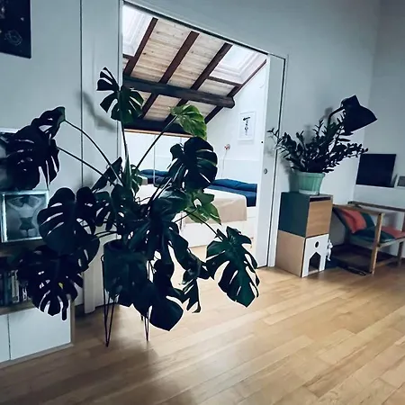 Daire Loft
