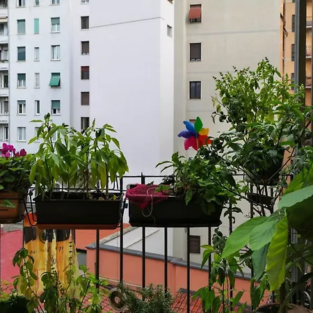 Primopiano - Frisi * Milano