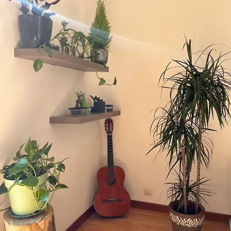 Molis's House Milan