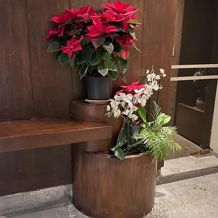 Santa Sofia Daire Milano