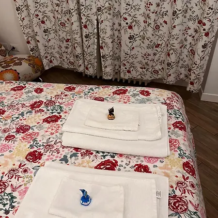 米兰丰塔纳大街住宿加早餐旅馆 4* 米兰