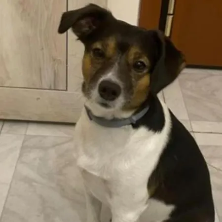 Meraviglioso Super Attico Con Terrazza *