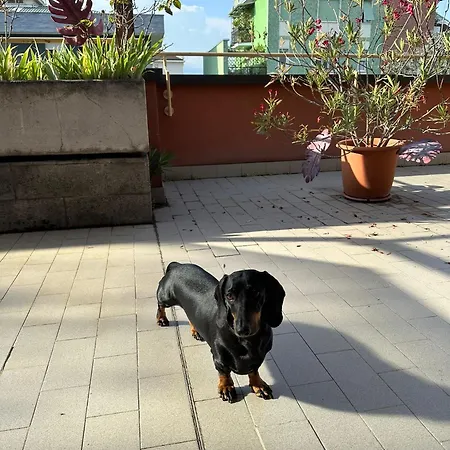 Meraviglioso Super Attico Con Terrazza