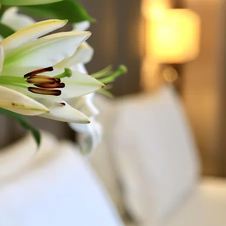 كليما ميلانو فيره ميلان