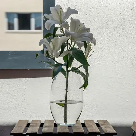 Rooftop Design Con Terrazzo - Duomo-porta Romana דירה מילאנו