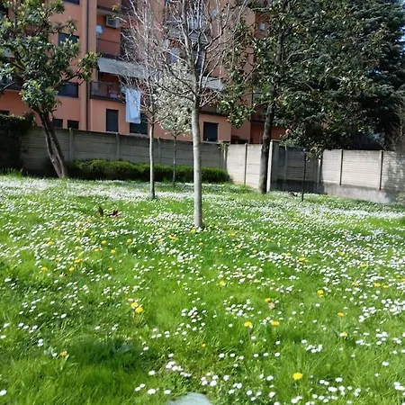 The Garden In Navil