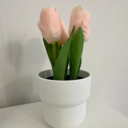 Il Melograno Sul Naviglio Appartement