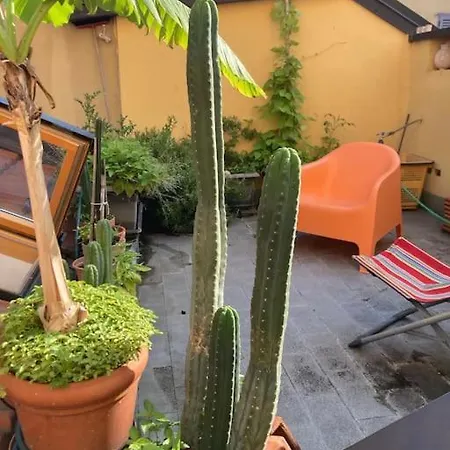 Totem Loft فيلة