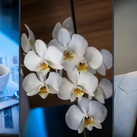 Hotel Degli Arcimboldi Mailand