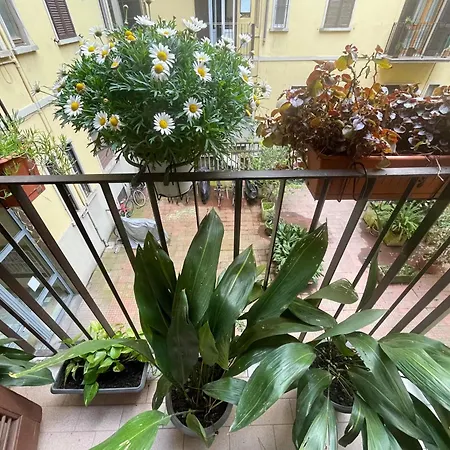 Daire Milano Central Apartment