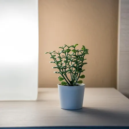Shortmi Canonica Apartmán *