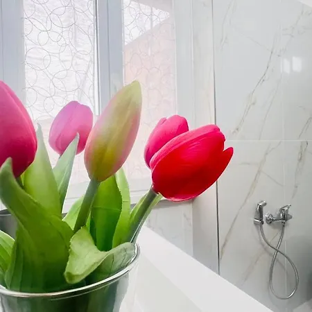 Apartment New And Elegant On The Navigli Netflix E *
