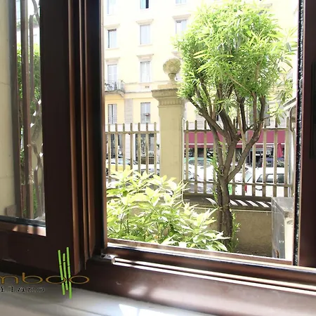 Bamboo Montenero