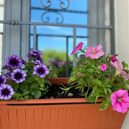 Bilocale - Zona Isola Apartman *